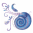 Lamina Ammonites
