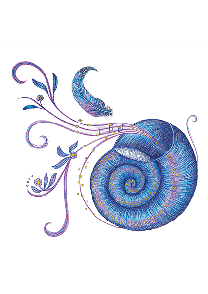Lamina Ammonites
